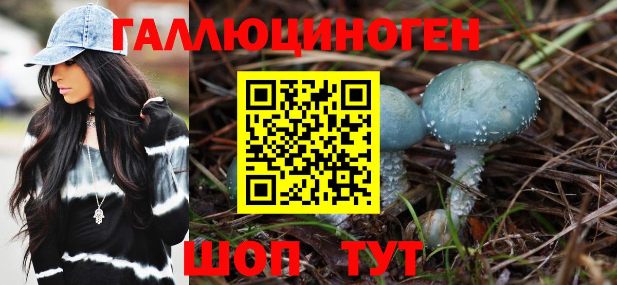 Псилоцибиновые грибы прущие грибы  Вход с VPN  Дзержинск 